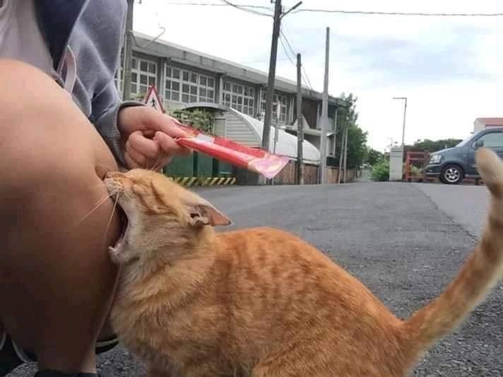 とっしぃ