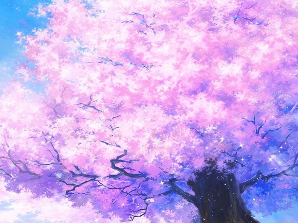 わたぬし✿