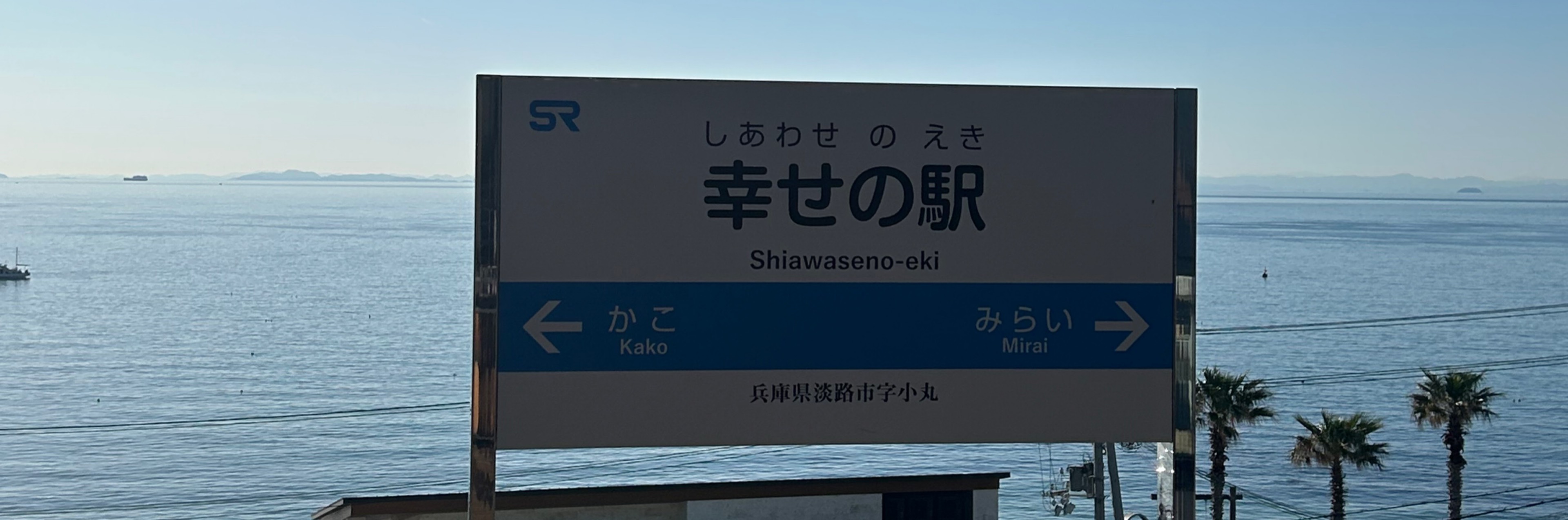 橘