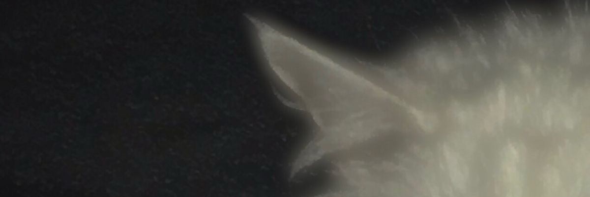 うましし