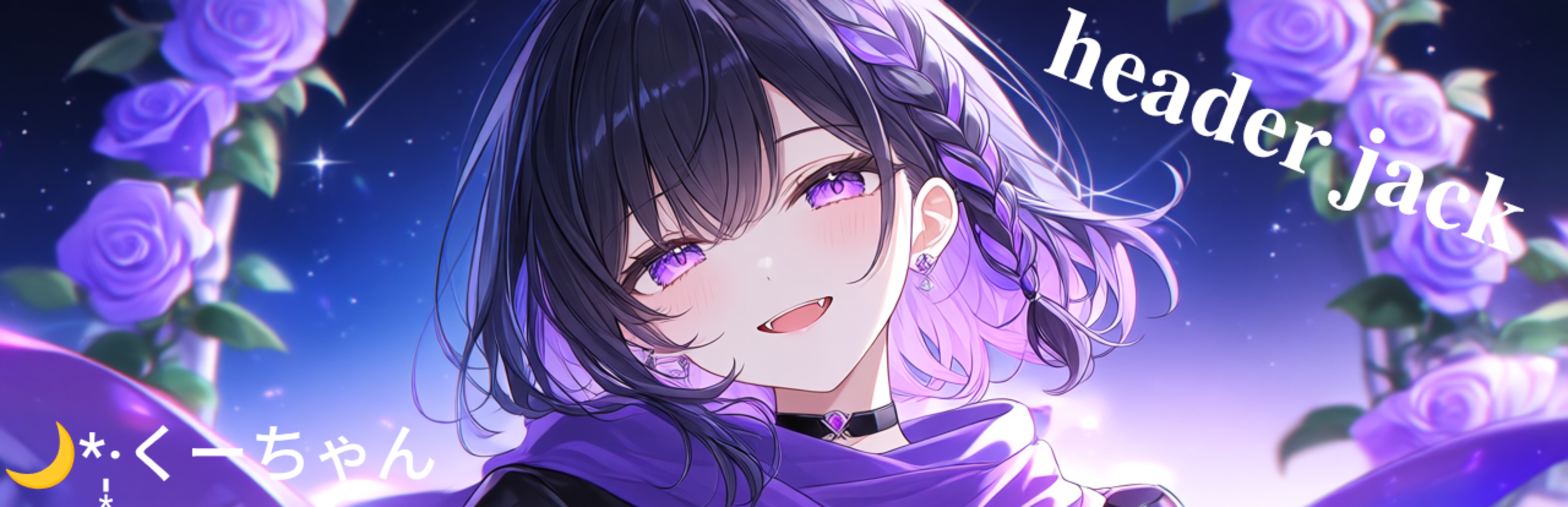 ᴹ❄︎꙳·̩͙ 🌙*·̩͙ ノエル𝖲ⁱꕤ
