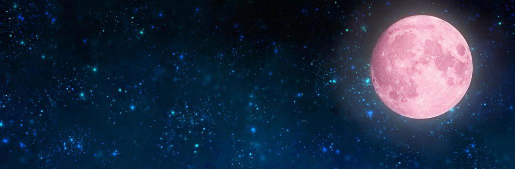 𝐆𝐢𝐚𝐬𝐮