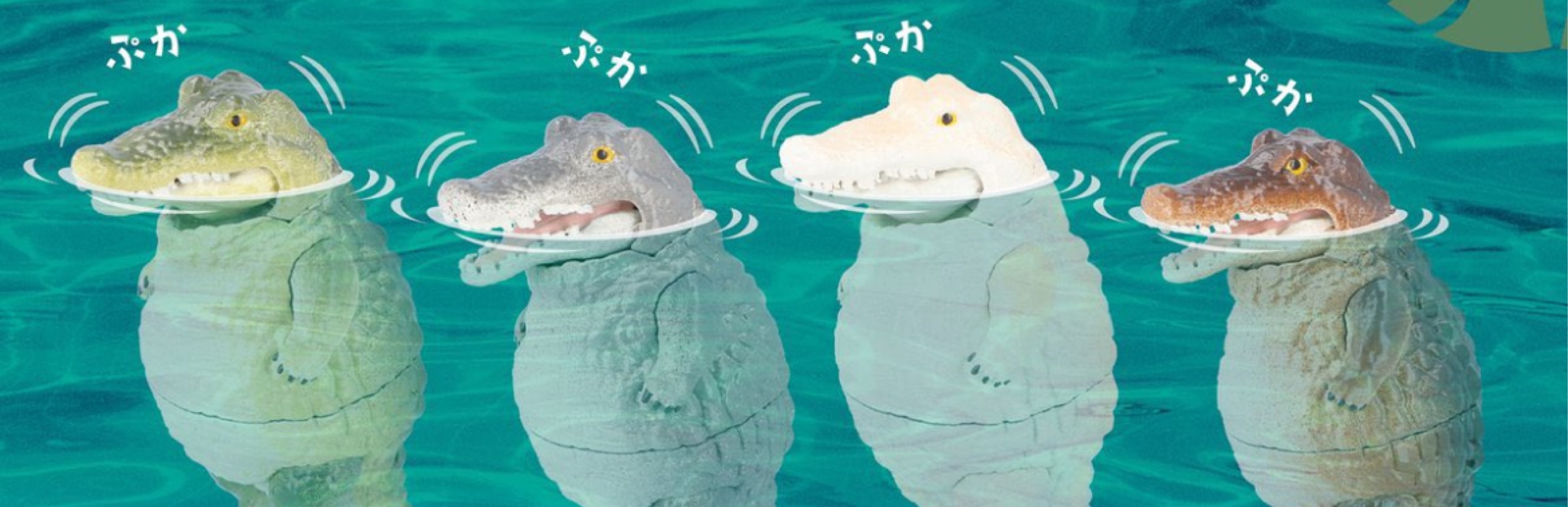 ˢʸᵘ‪‪·͜·しゅう。
