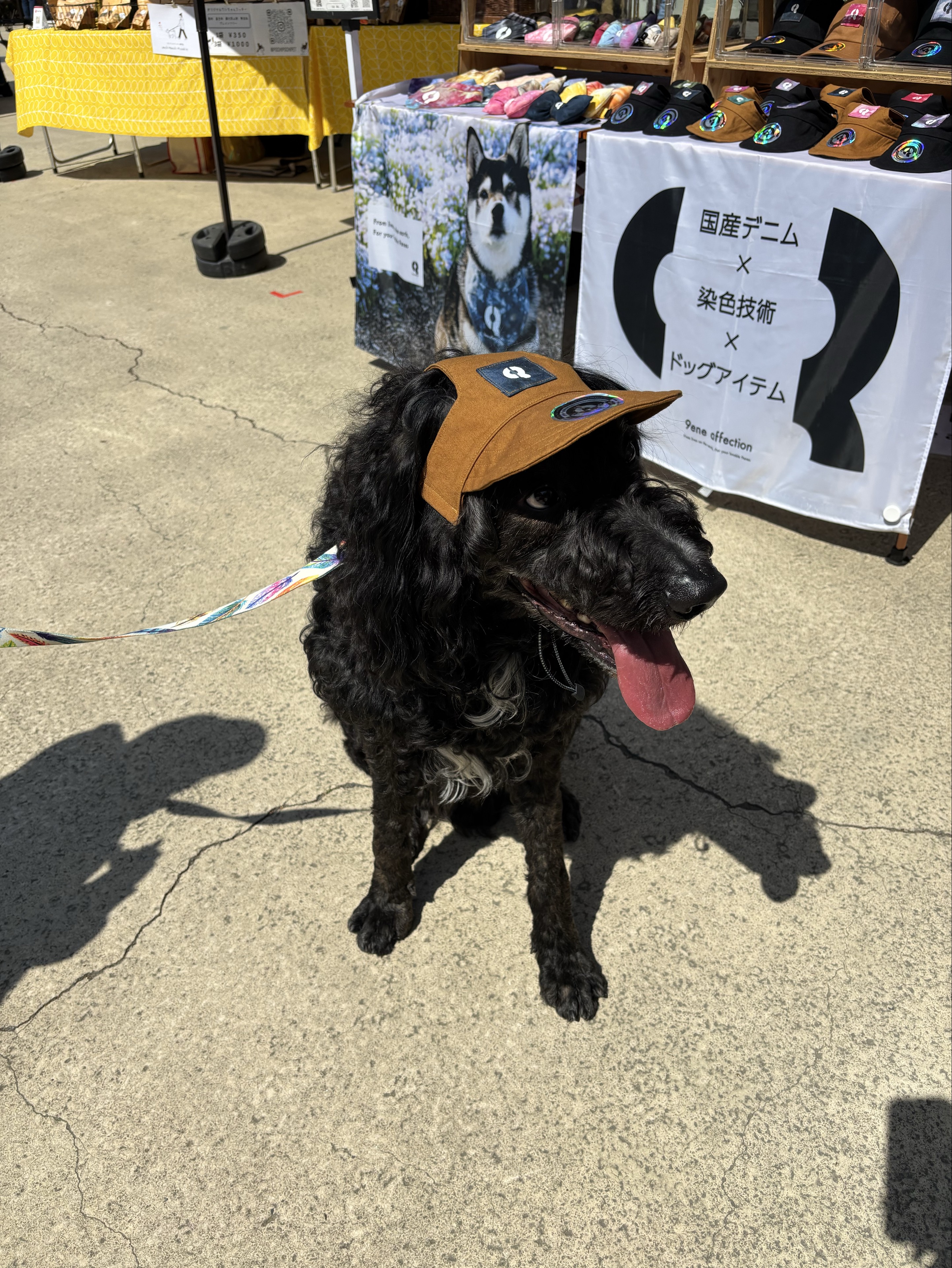 えむ
