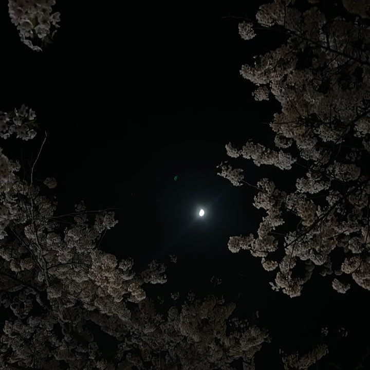ゎぃ.