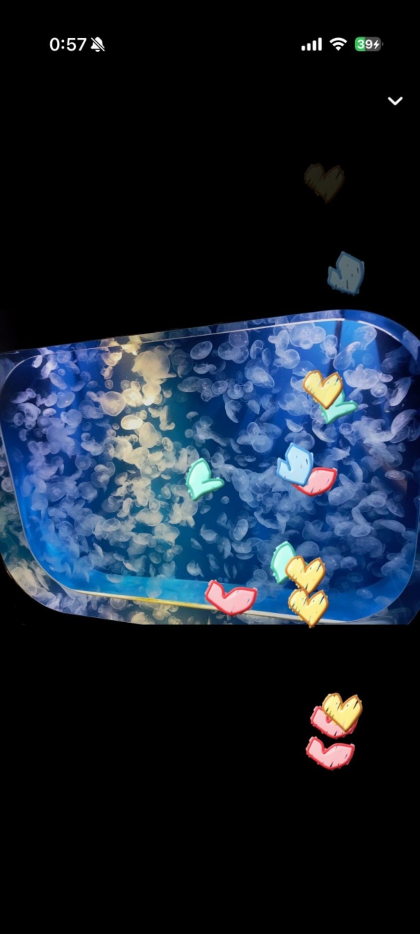 ☪·̩͙焔