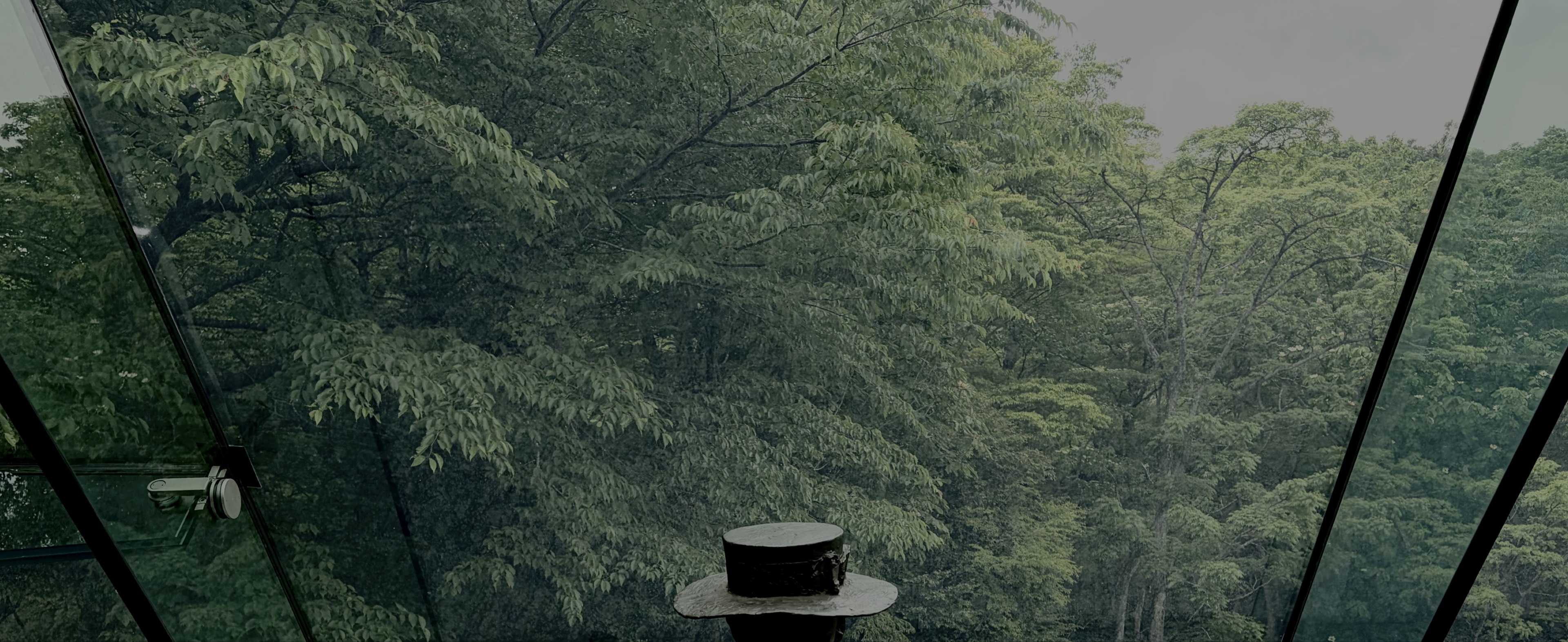 つっきー