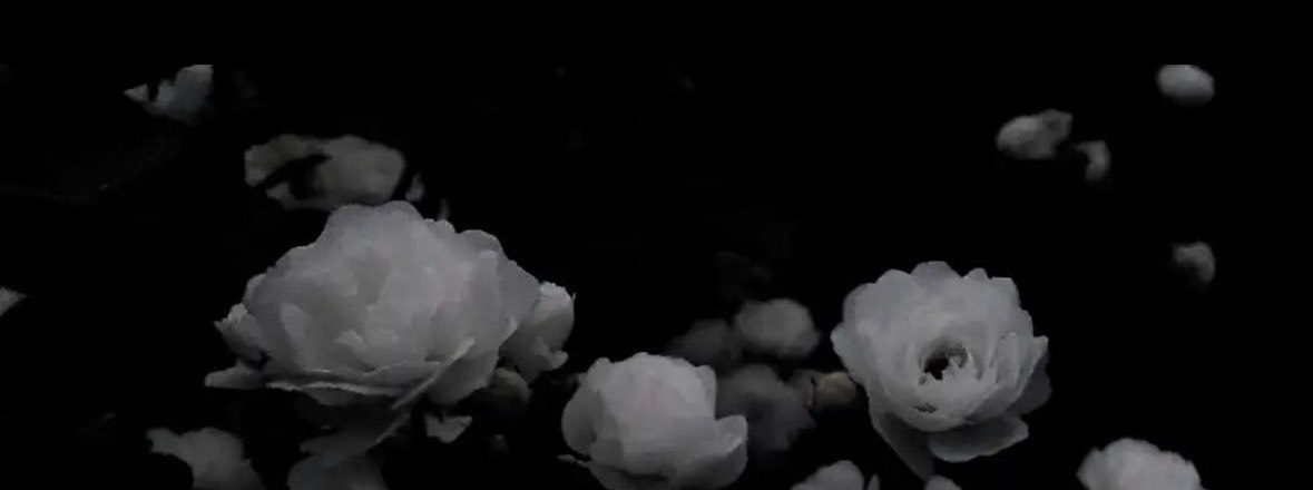 winter⟡.·