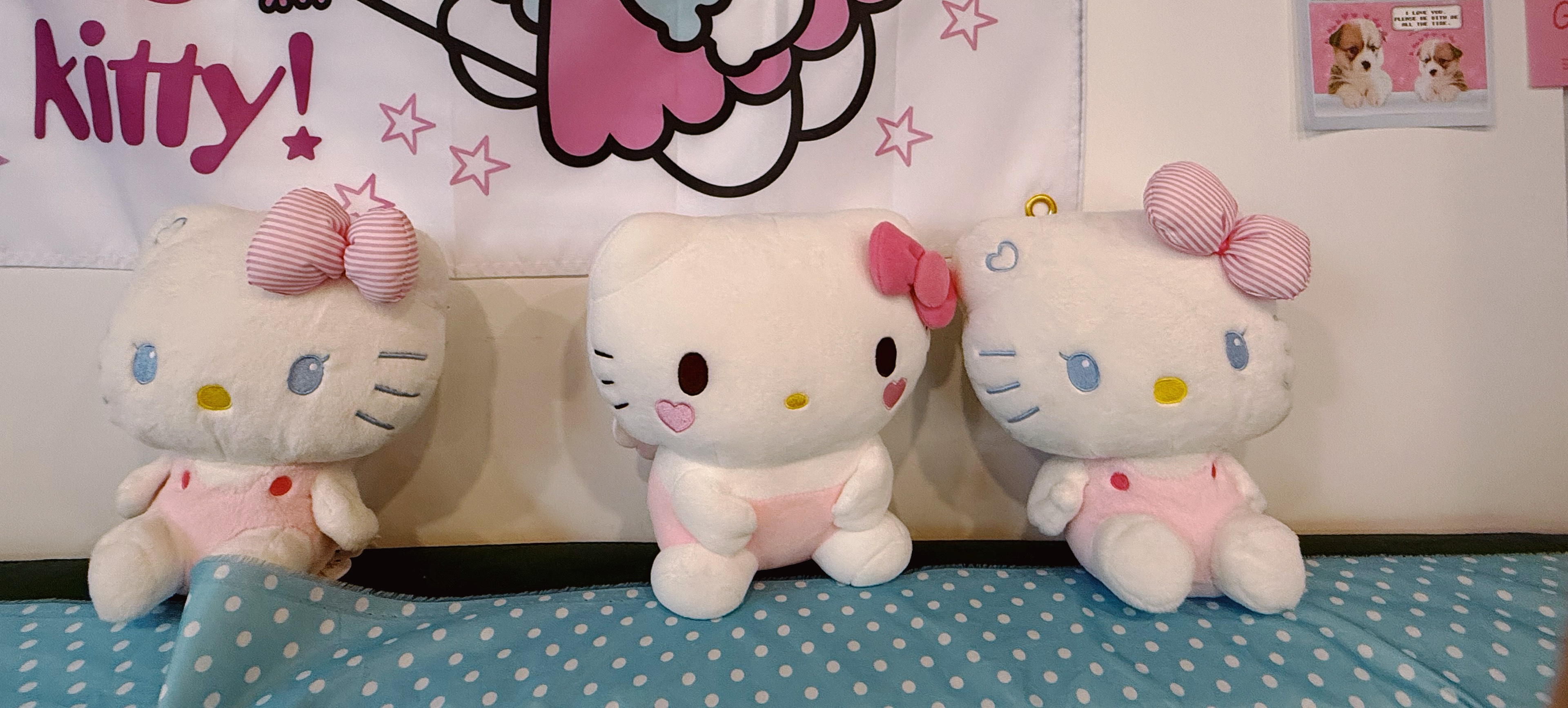 こりちゃん🍙