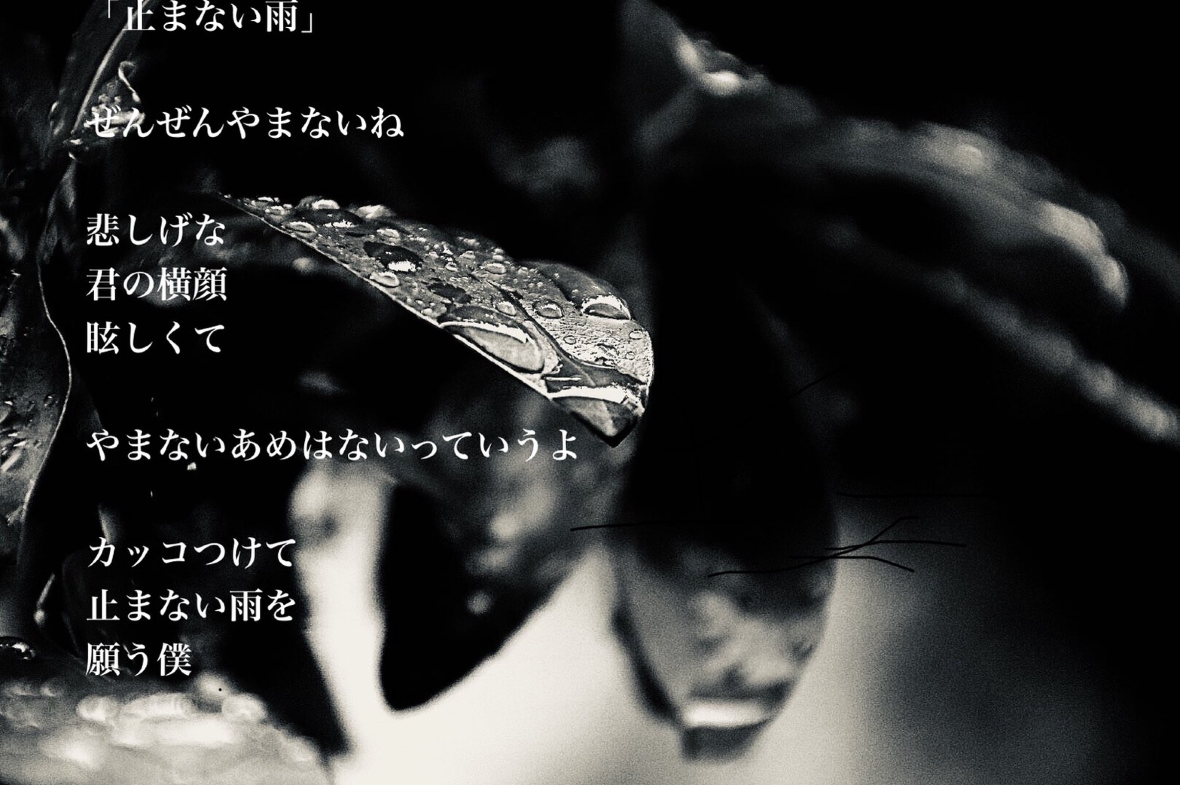 心音＊(kotone)