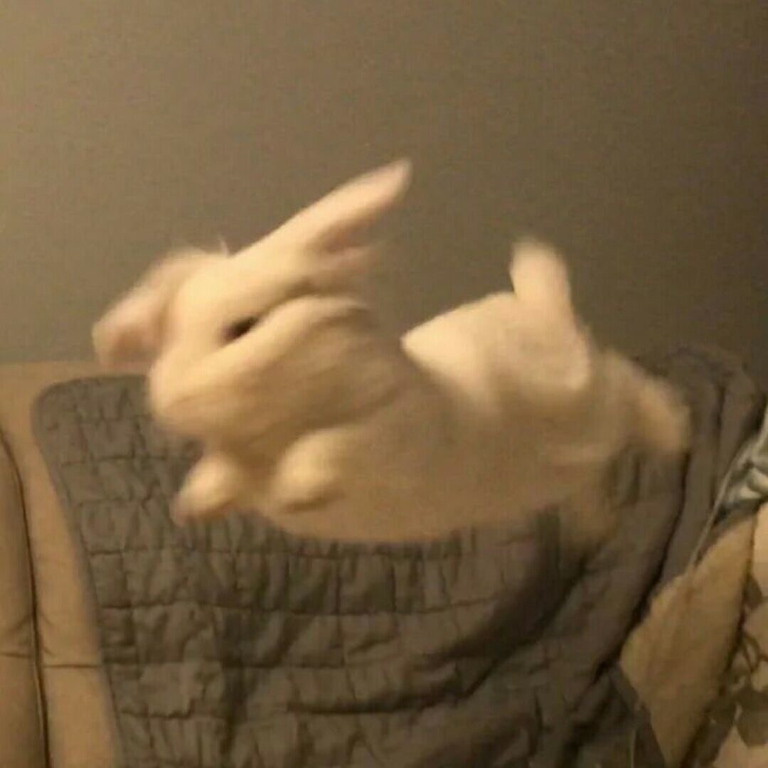 かや