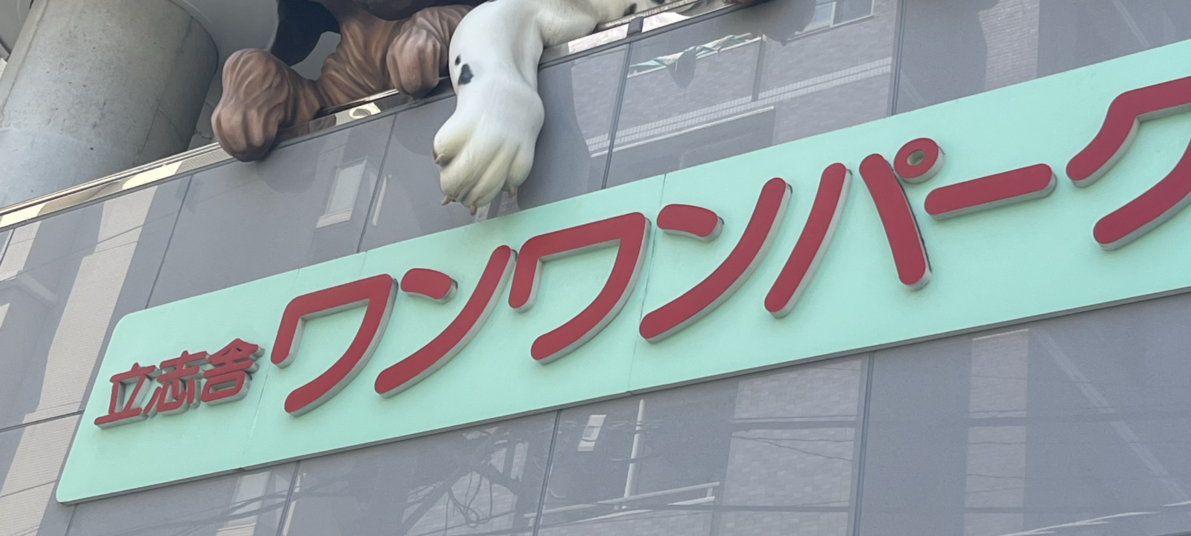 いぬ
