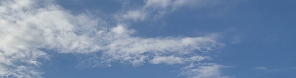 でち