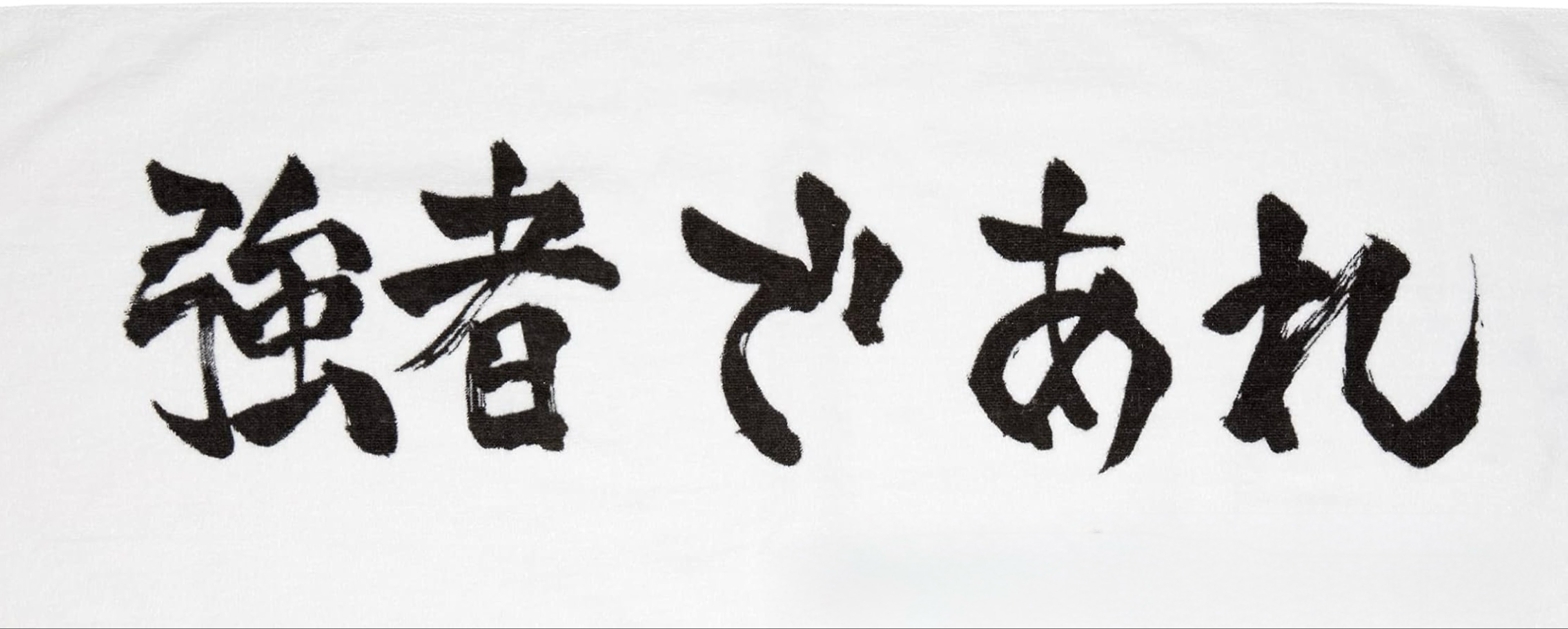 雑巾バケツ