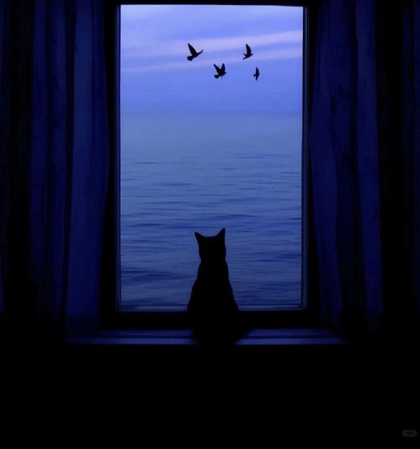 猫逢-Nea-