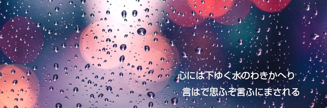 新-さら-