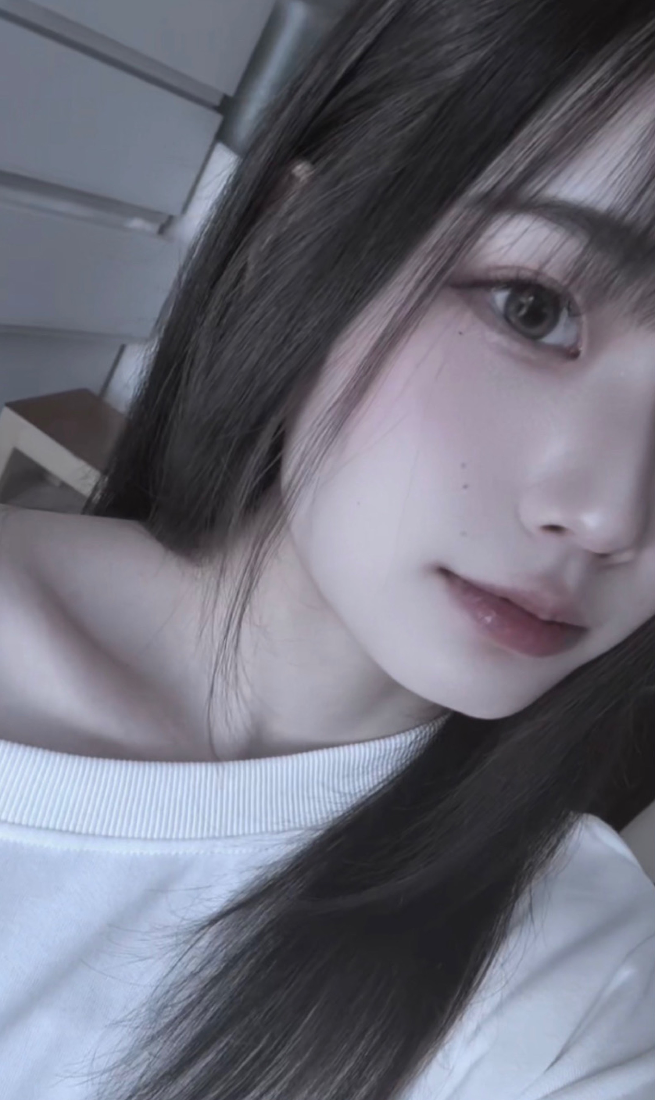 ꕤ︎︎·͜· 𝚖𝚒𝚏𝚞 ꕤ︎︎·͜·
