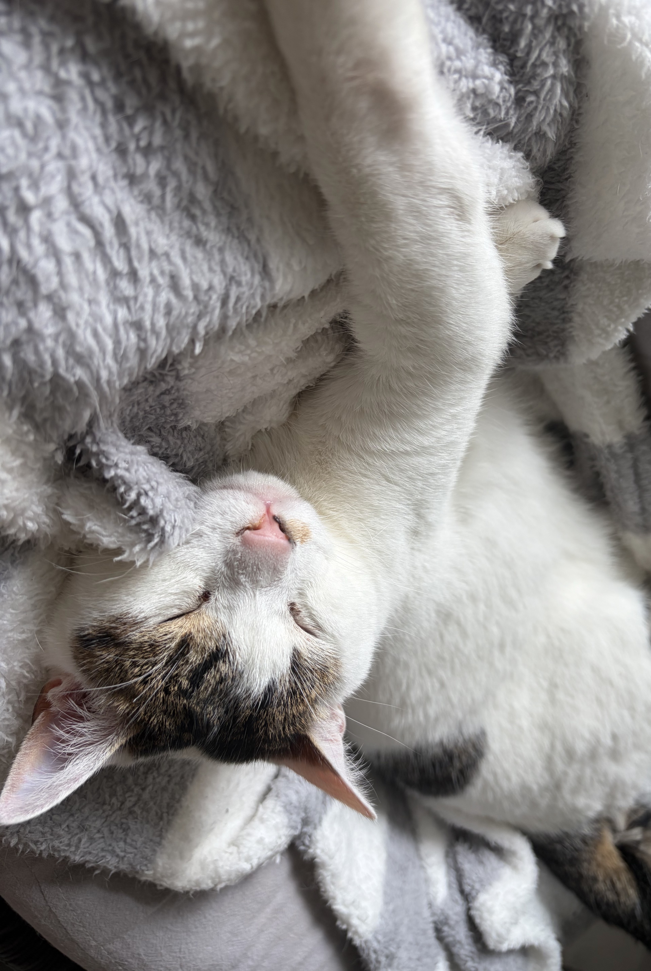 何