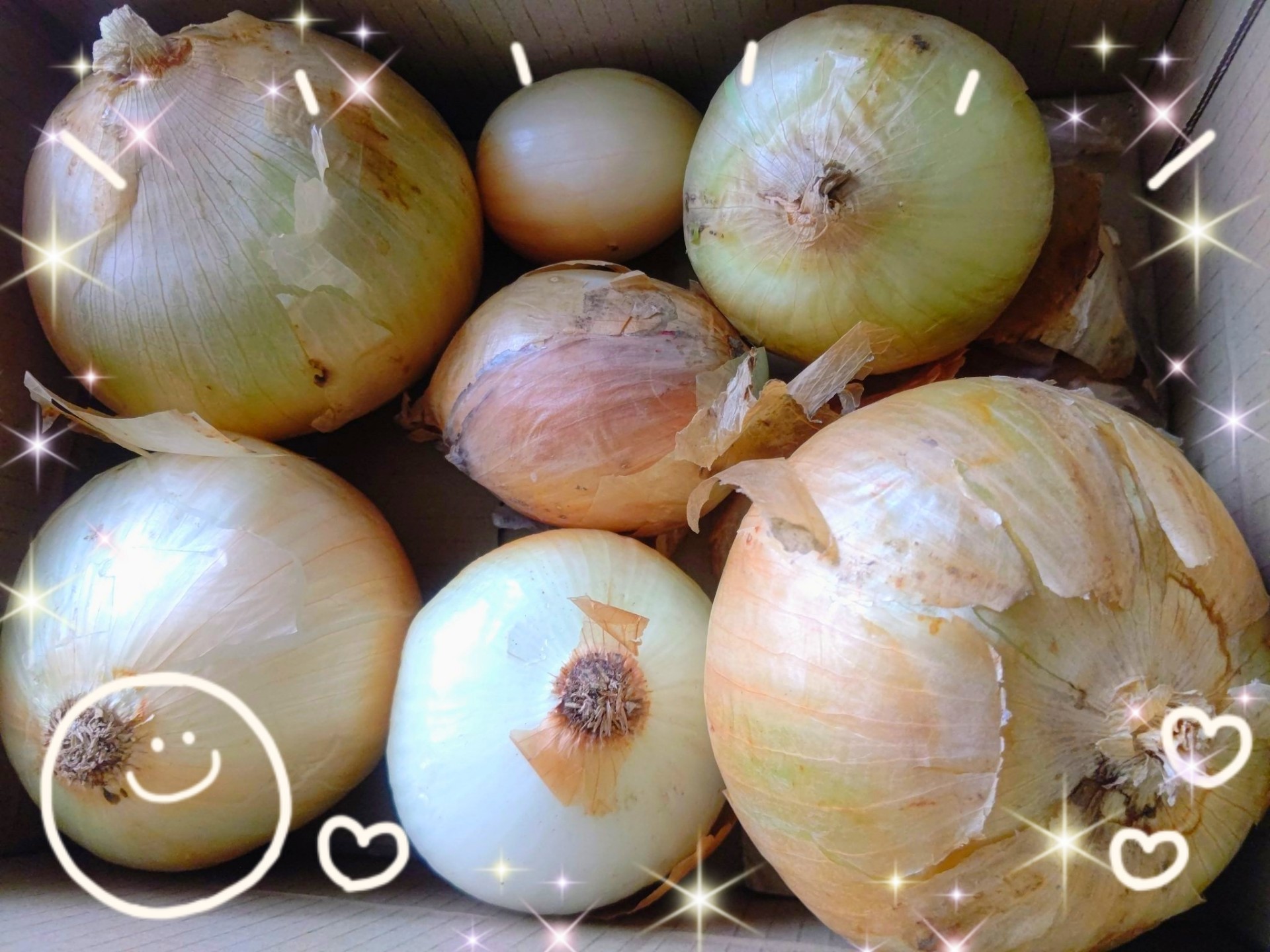 Yasumin☾✿♪