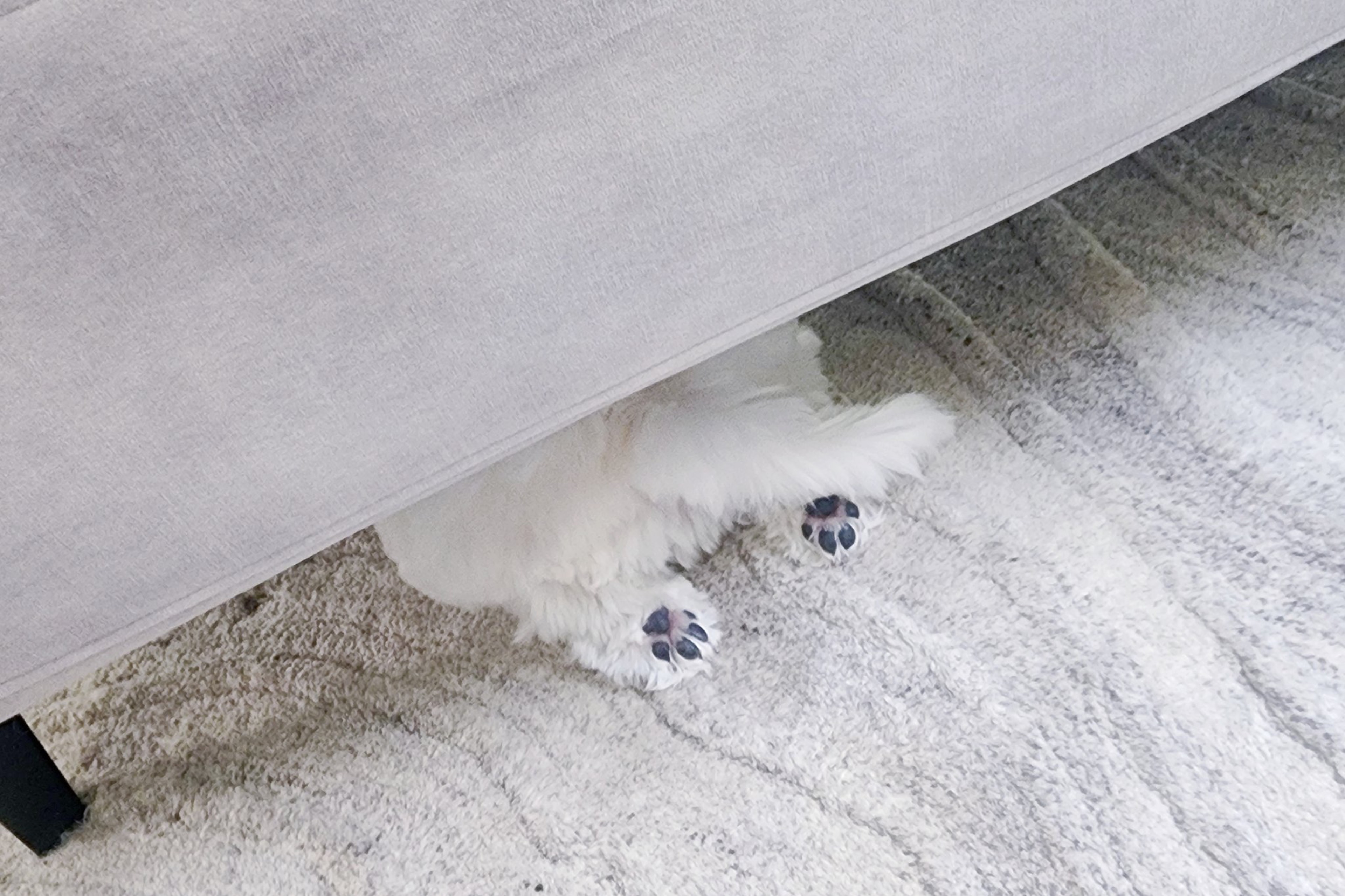 ひま