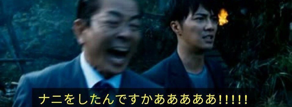 野良