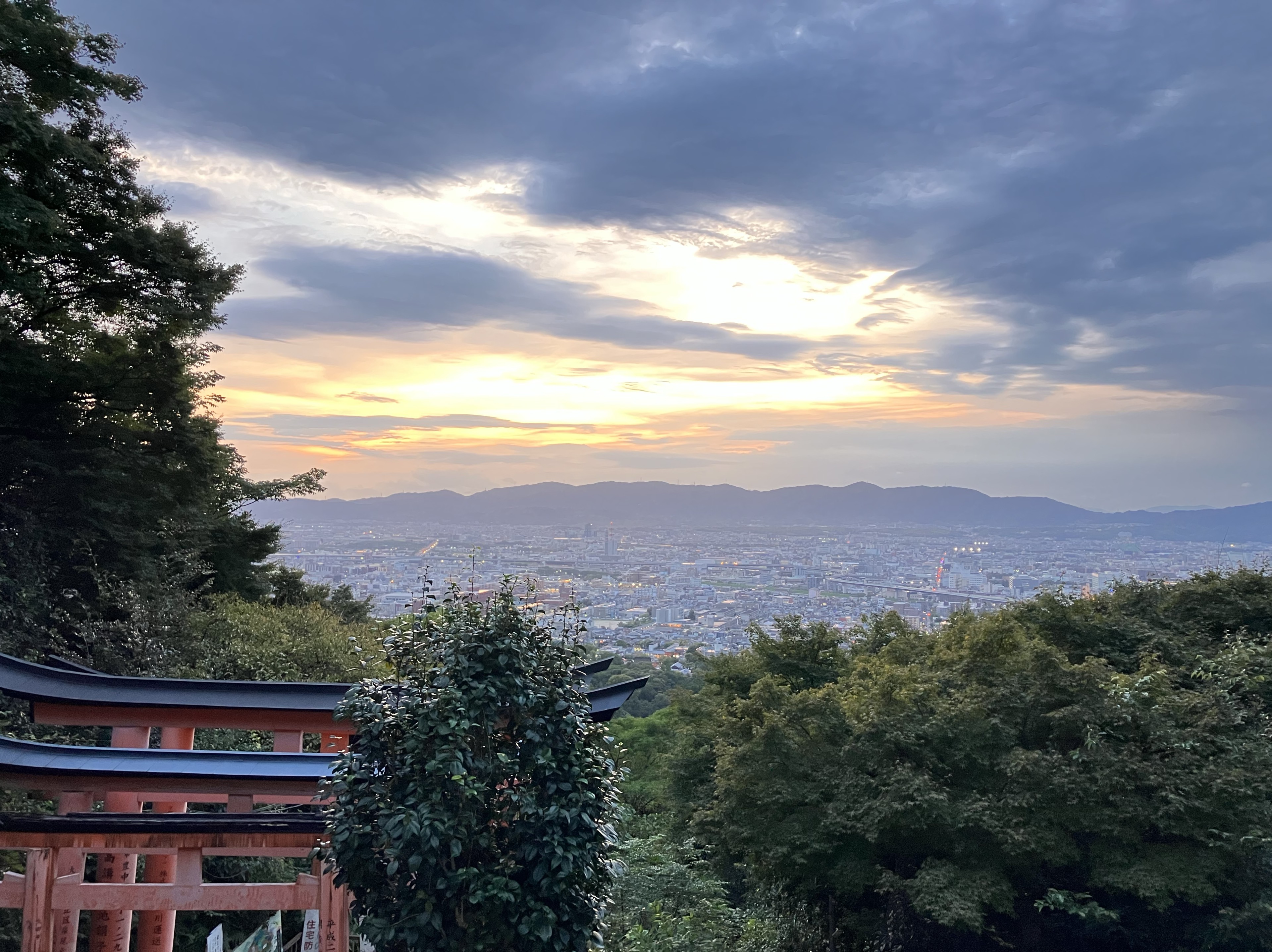 晴れる