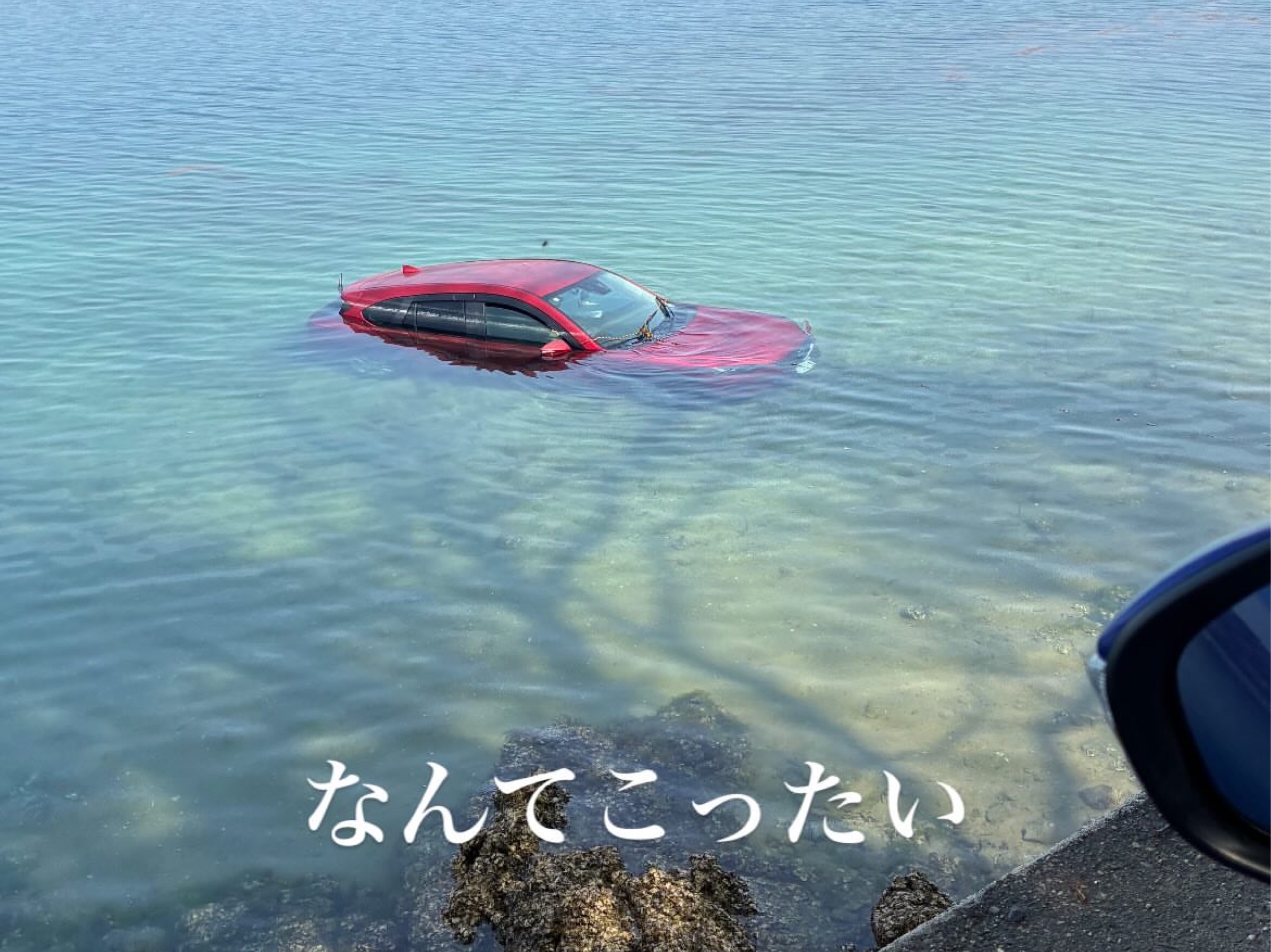 ㅤ⠀ㅤ⠀ㅤ⠀ㅤ⠀ㅤ シャケニキニキ