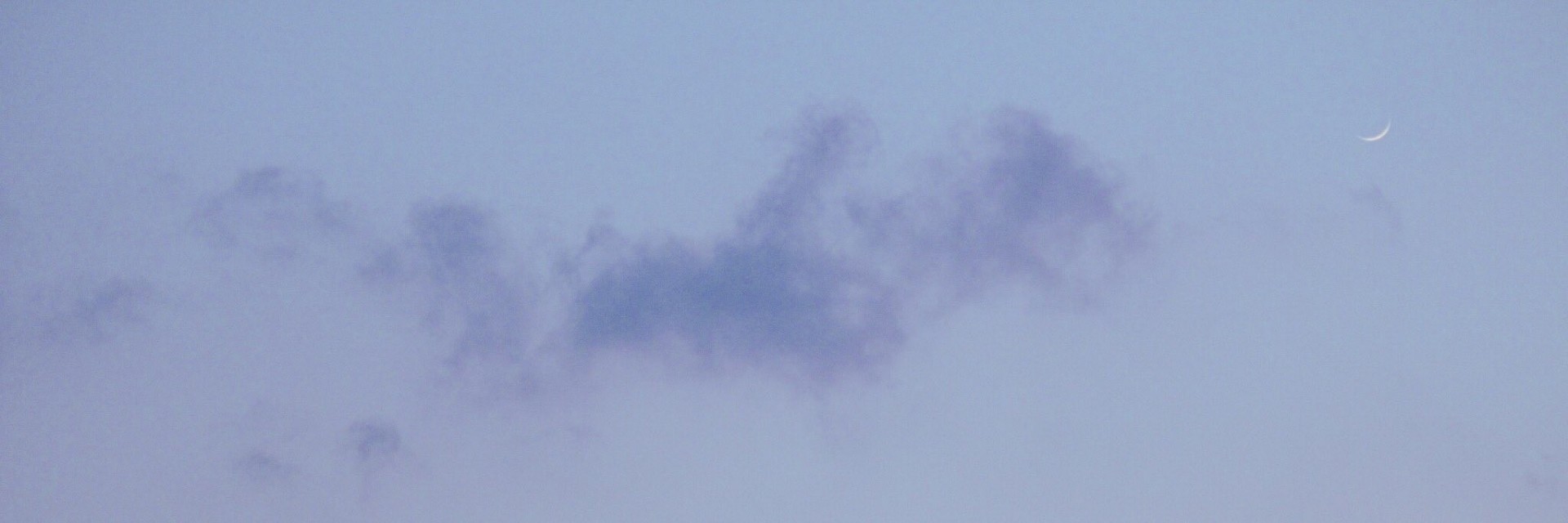雲雀
