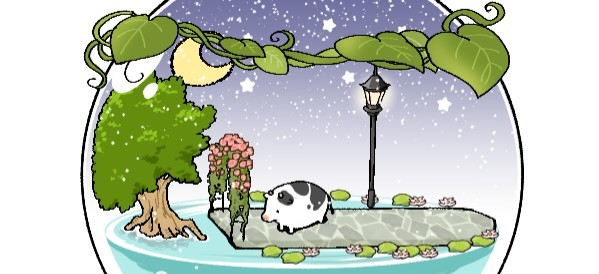 ちかです