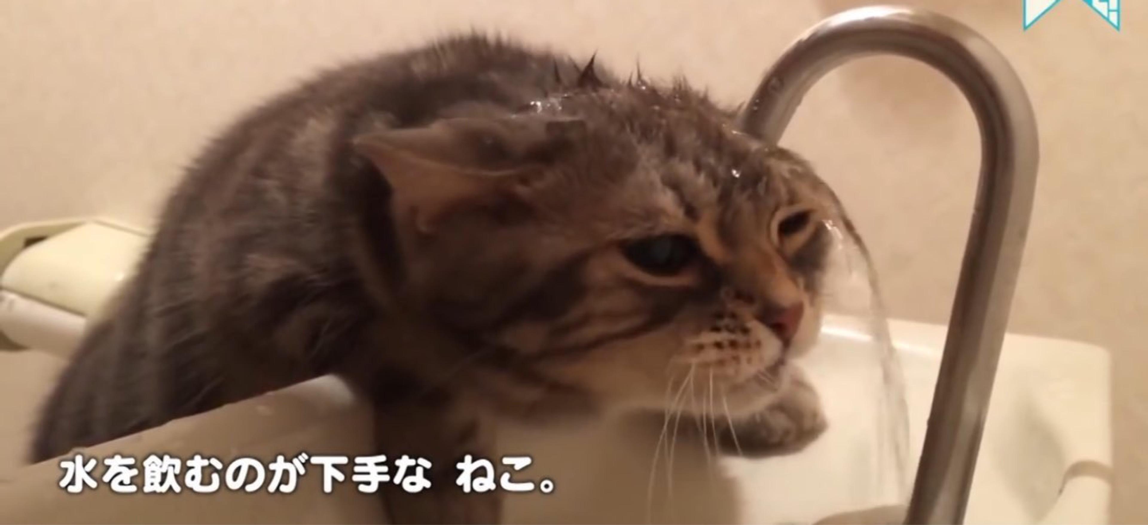 な き