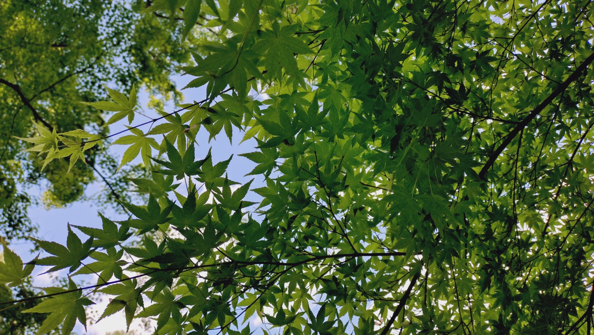 うき世
