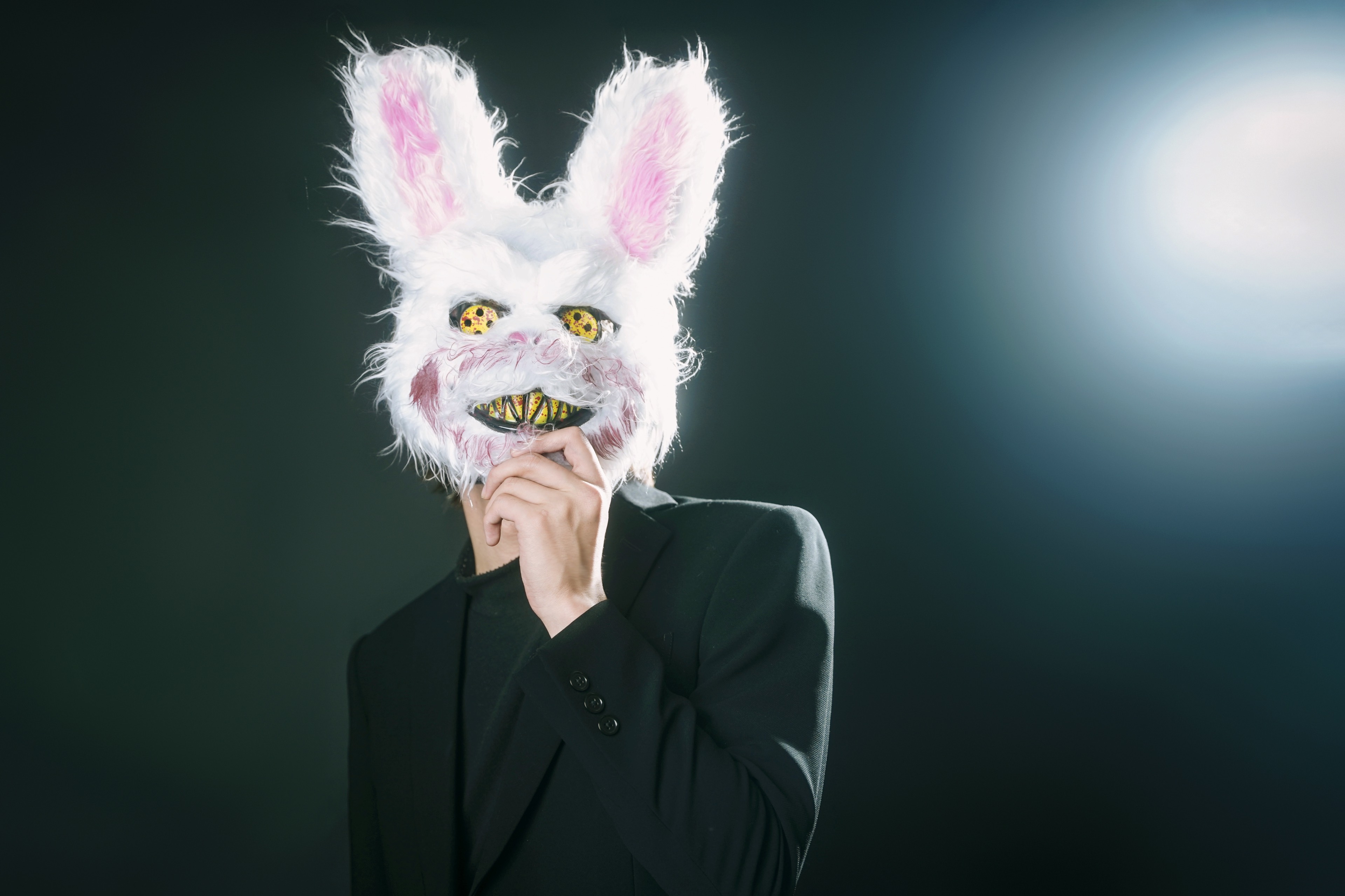 √KzRabbit…