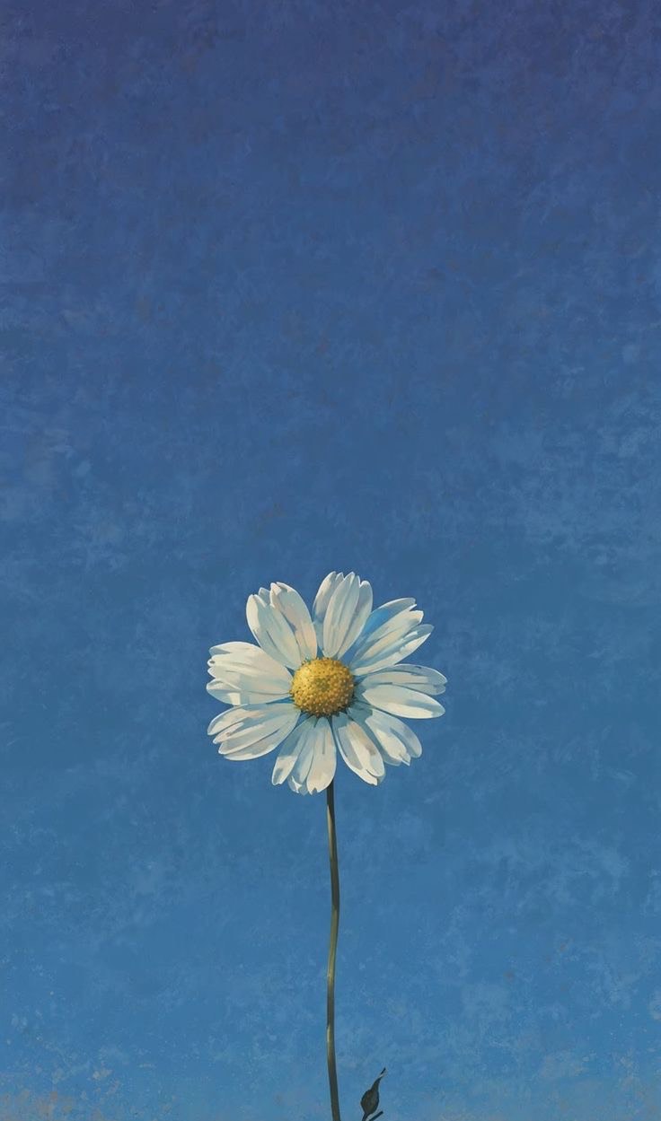 るーくᵕ̈