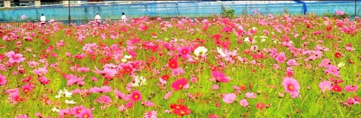 うさまめ