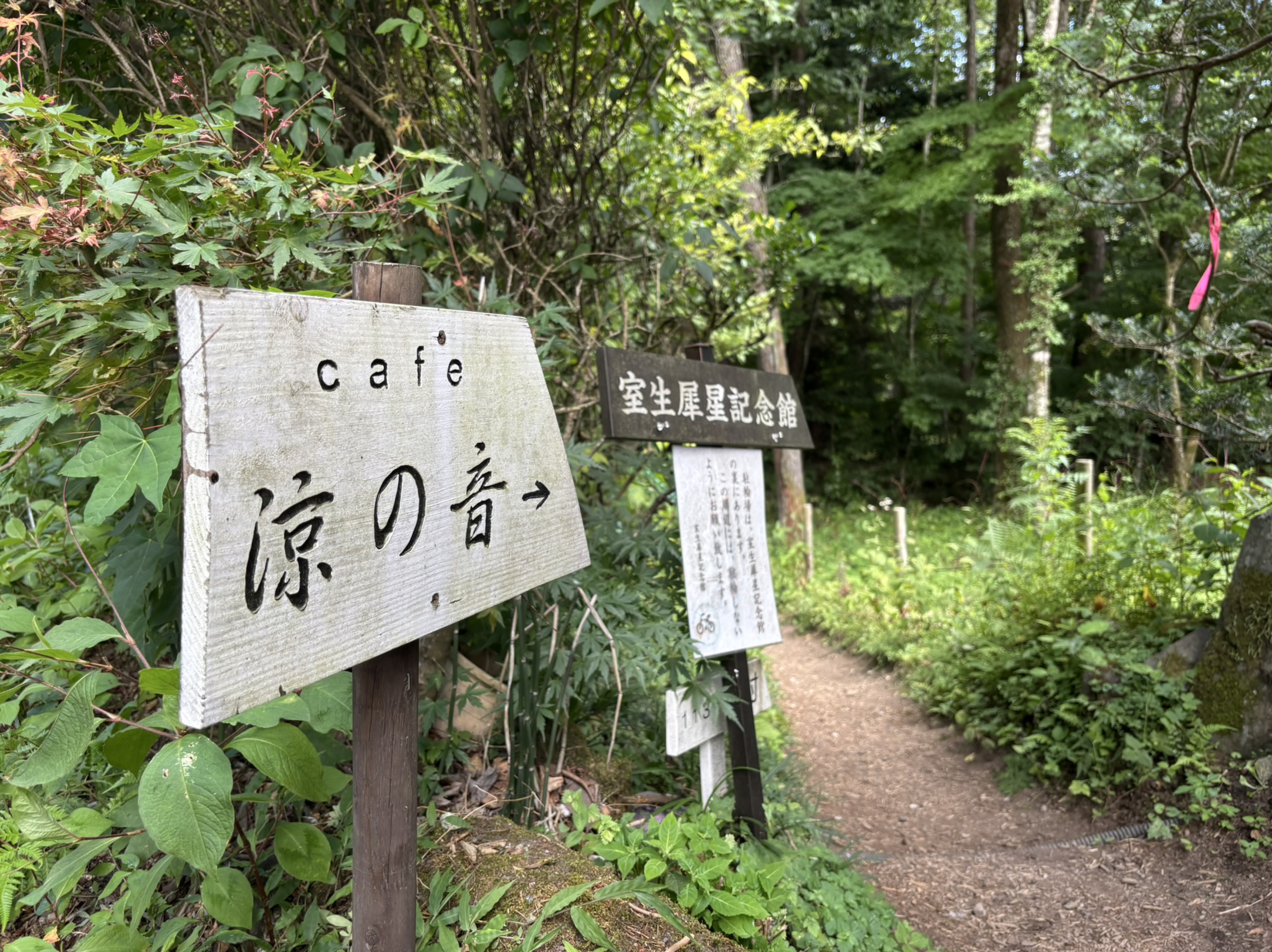 冬