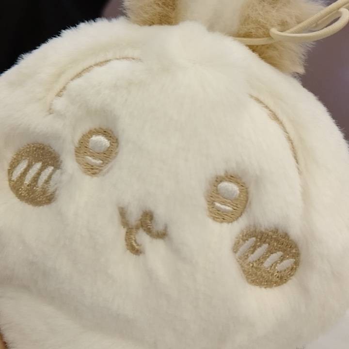 プリャ