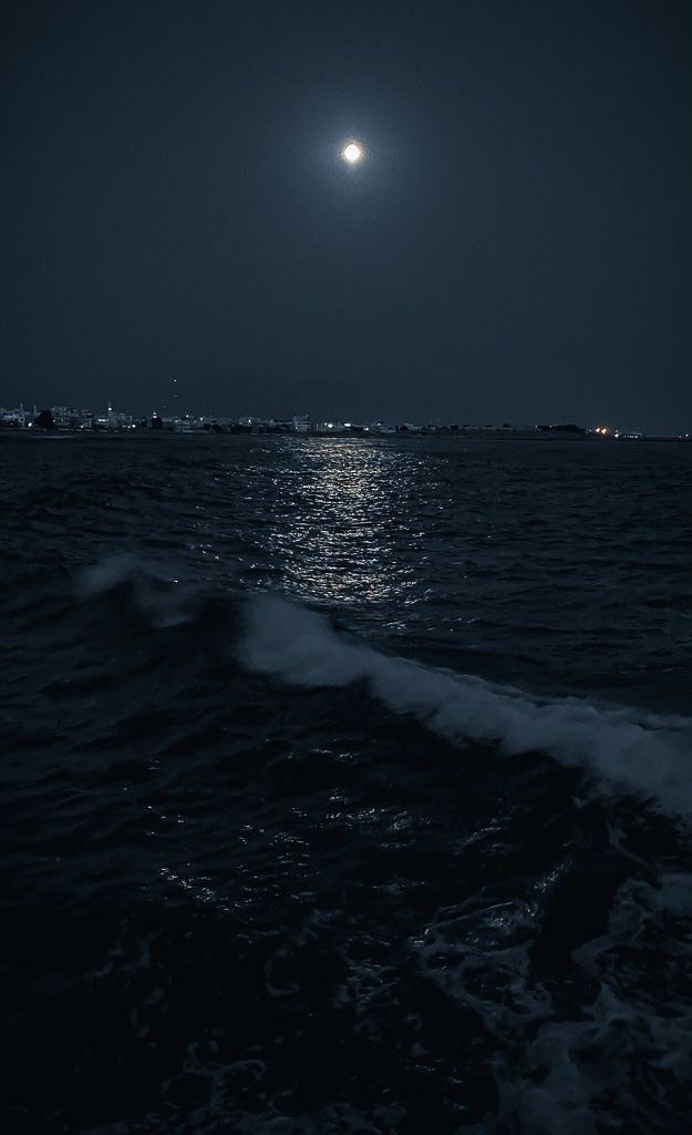 炬燵