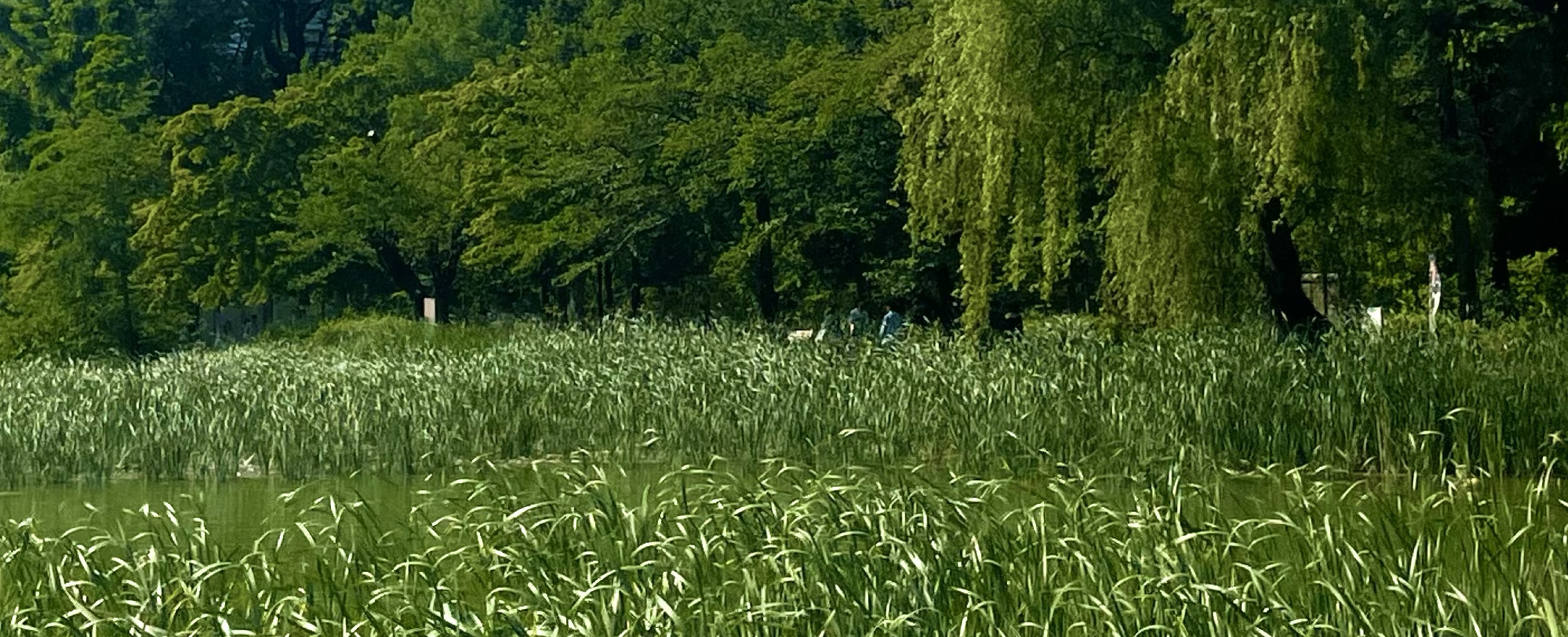 田中