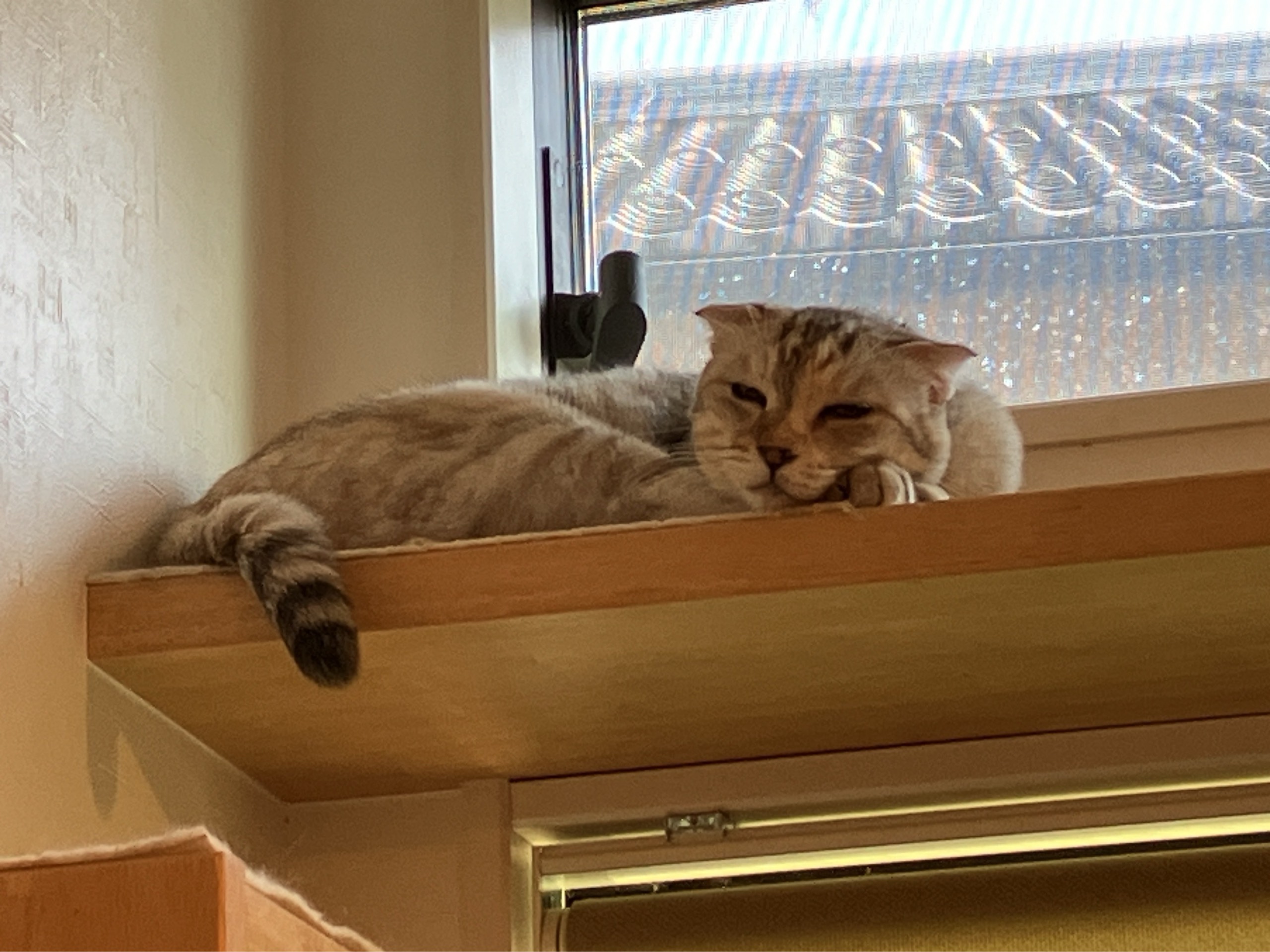 めい