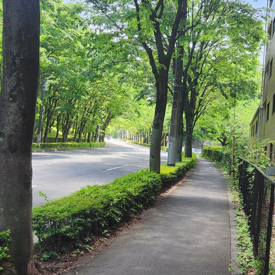sato  sato