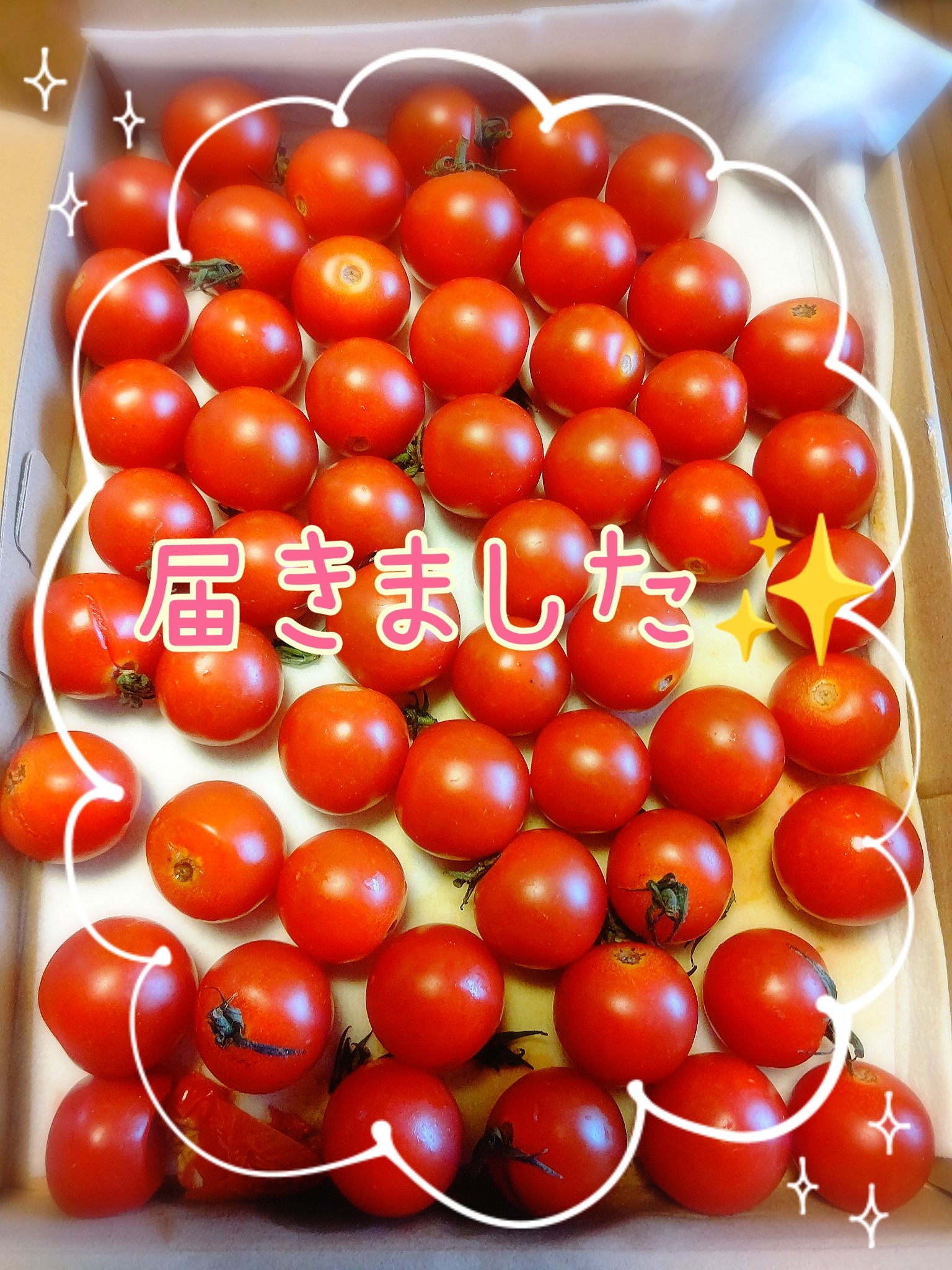 Yasumin☾✿♪