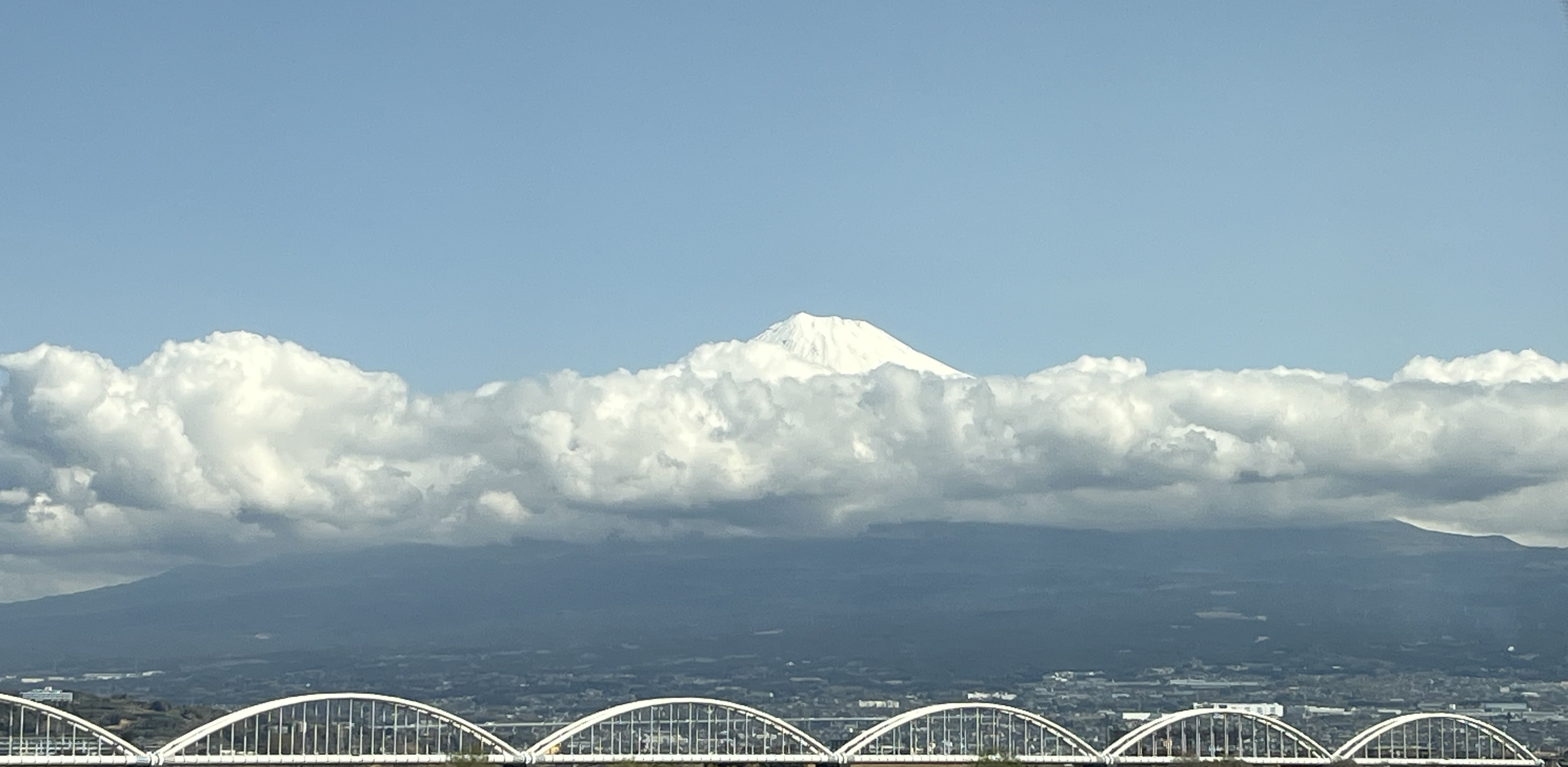 ゆい