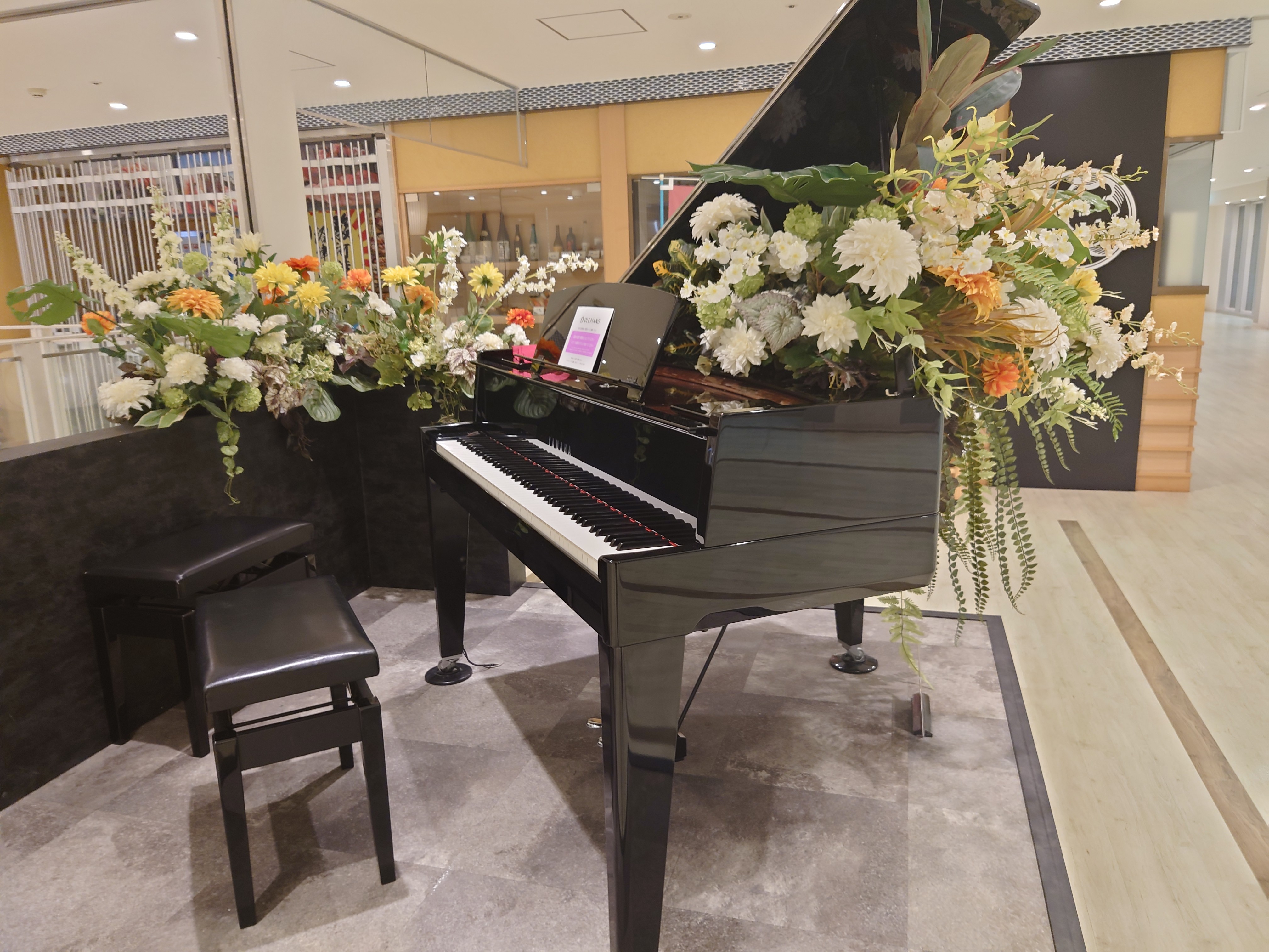 Kumaピアノ🎹