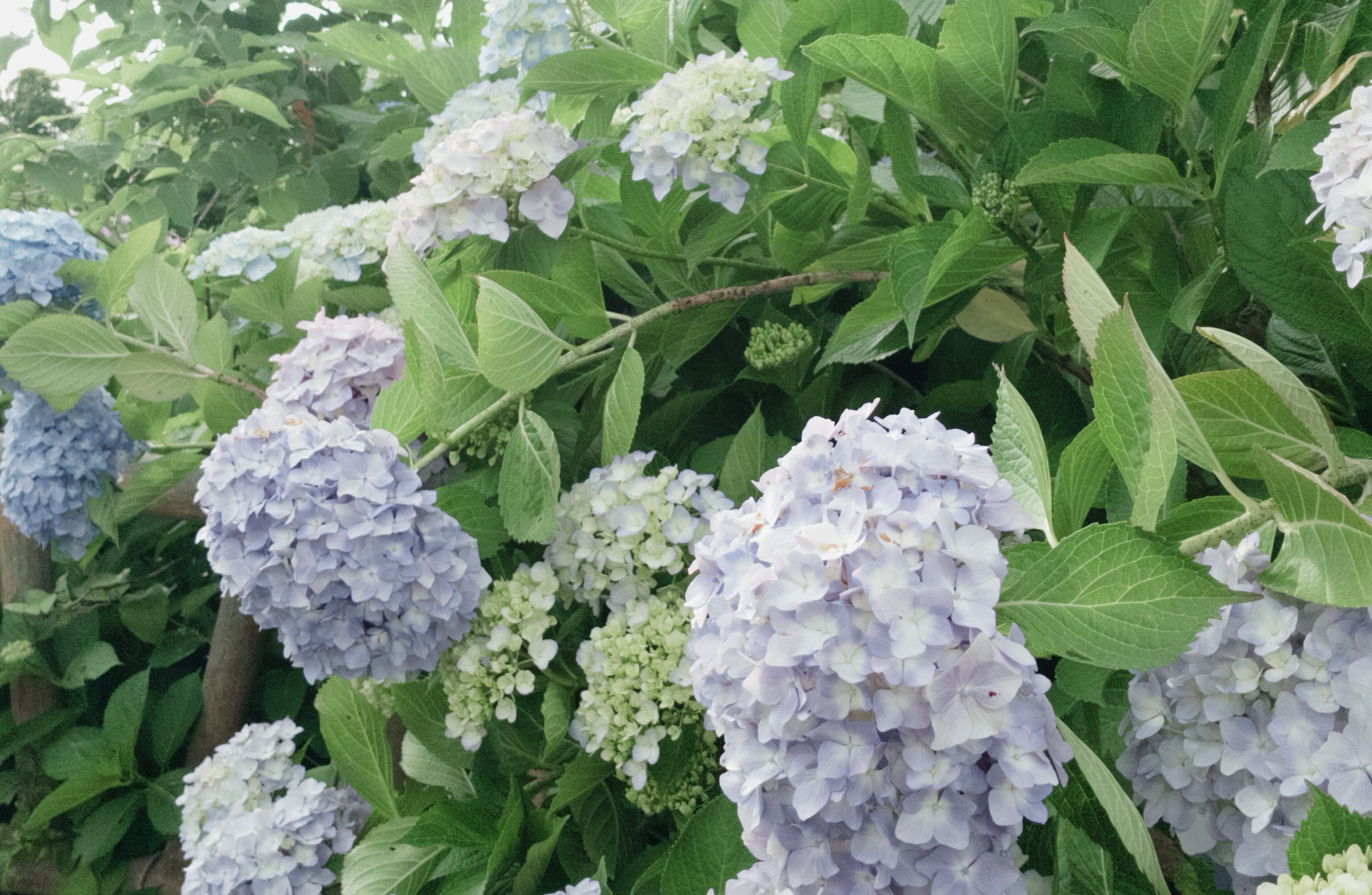 2月