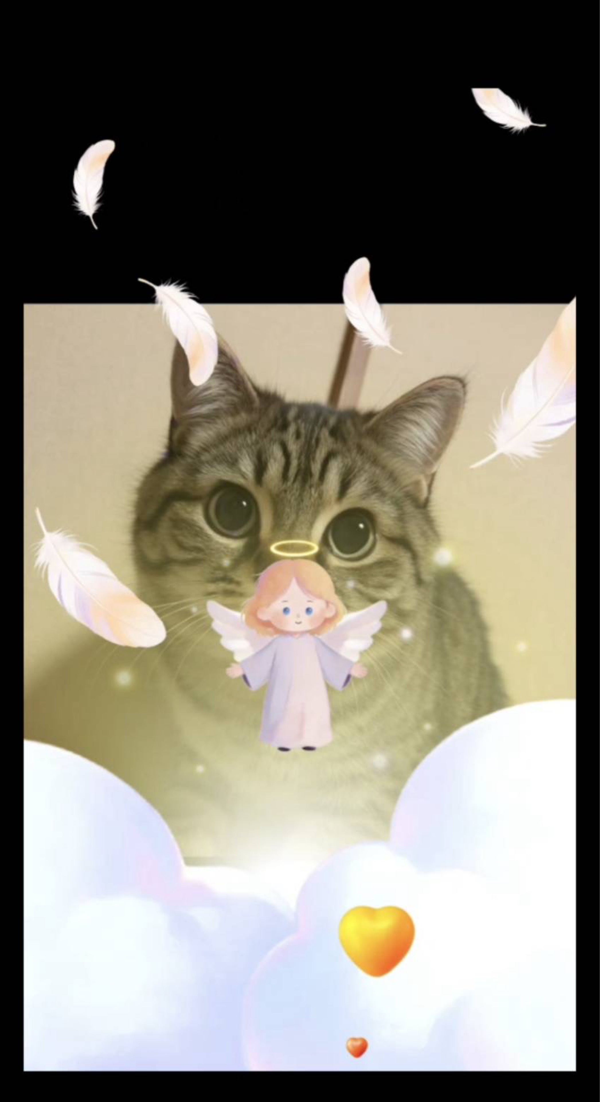 つつみん  🐈