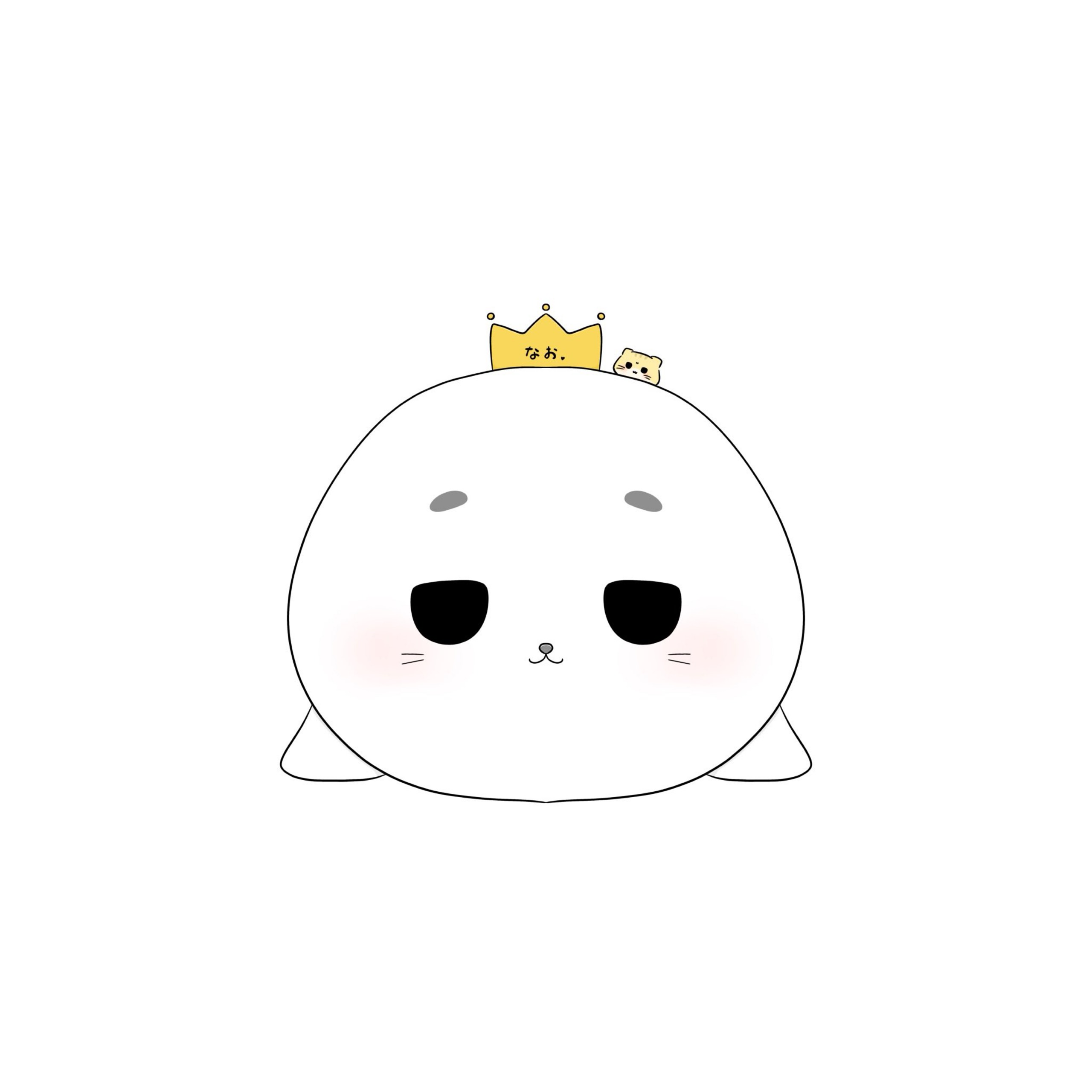⋆̩໒ⁿ ͛柚なお