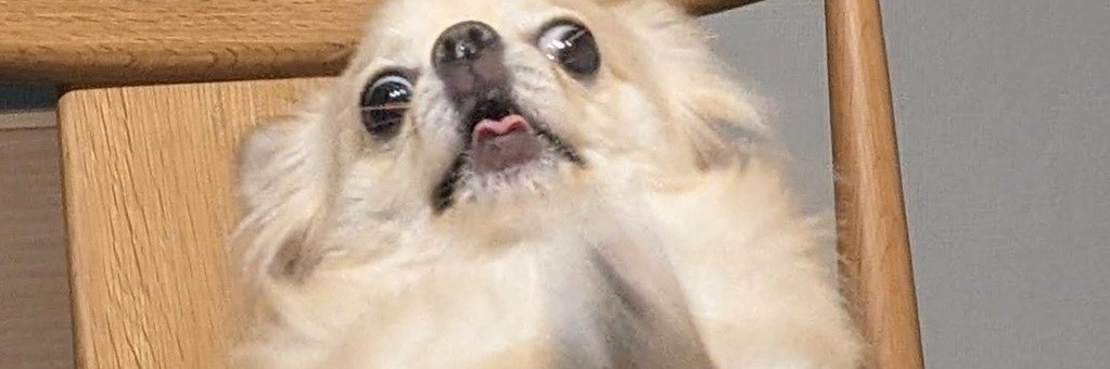 つづき