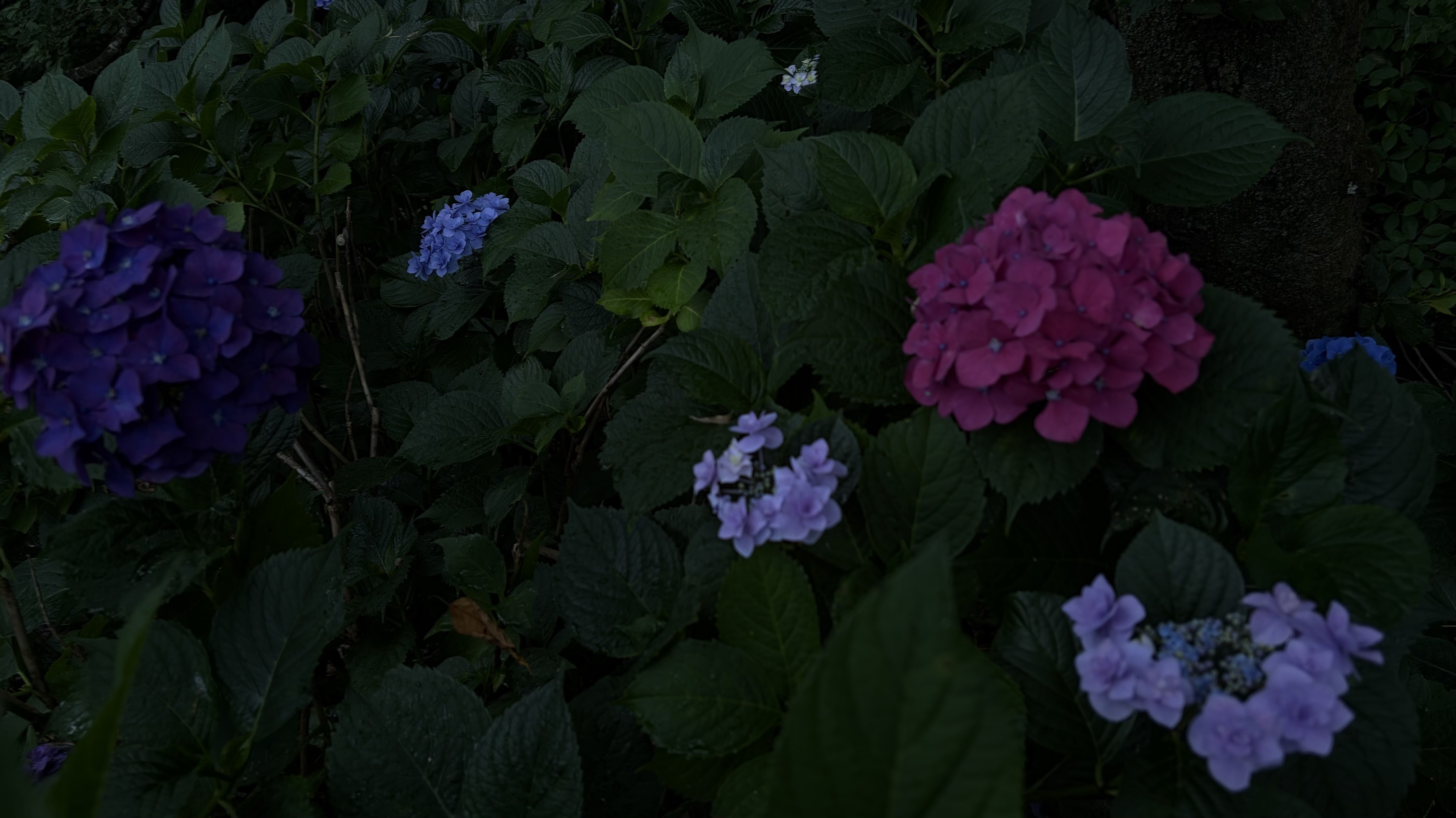 真夜中まひる ྀི⸜☀️⸝‍