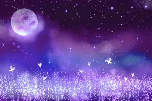 紫月 のあ🌙💜