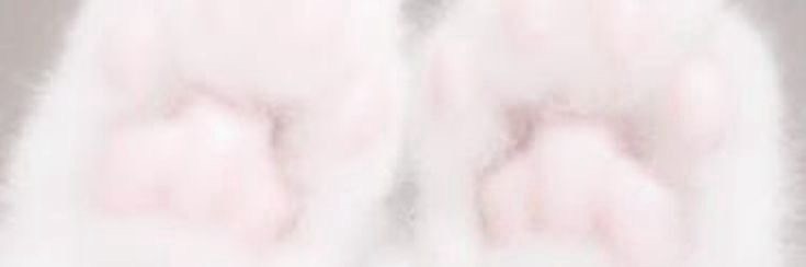 みゆ